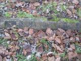 image of grave number 504706